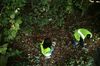 gal/Ville_Propre/_thb_OPERATION DECHETS LAMBRES 091.JPG
